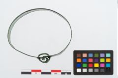 Foto von Bronzebandarmreif (NHMW-PRAE-024584)